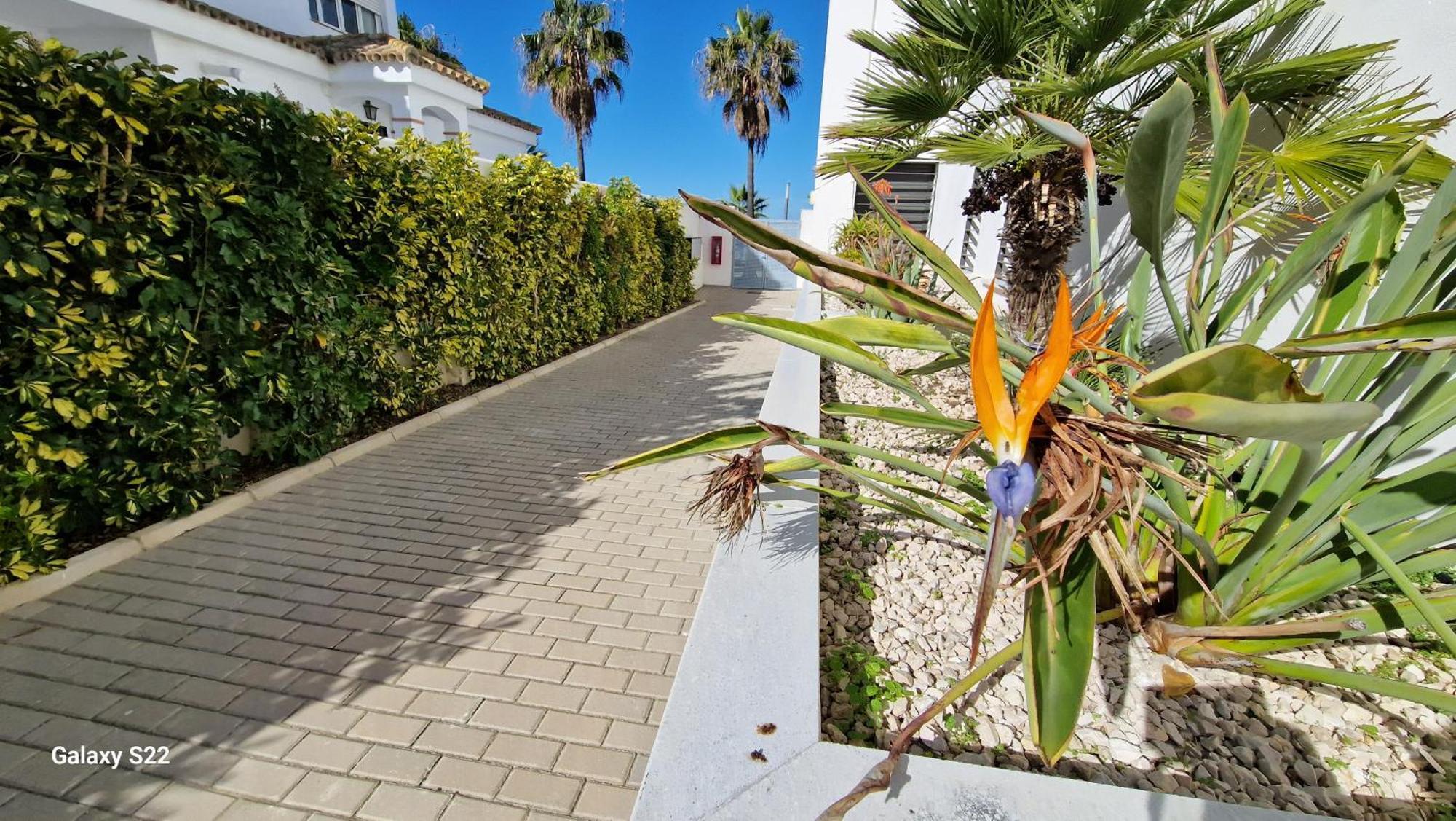 Boutelou Playa Con Vistas Al Mar Apartment Sanlucar de Barrameda Bagian luar foto